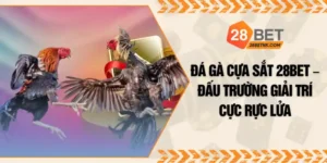 Đá Gà Cựa Sắt 28BET – Đấu Trường Giải Trí Cực Rực Lửa