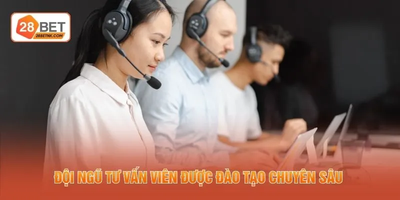 Đội ngũ tư vấn viên được đào tạo chuyên sâu