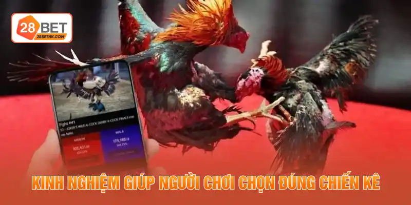 Kinh nghiệm giúp người chơi chọn đúng chiến kê