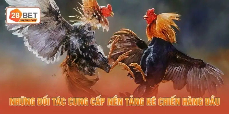 Những đối tác cung cấp nền tảng kê chiến hàng đầu